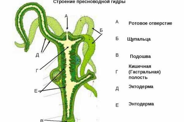 Восстановить аккаунт на кракене